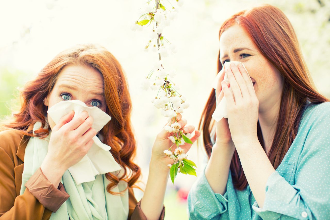 Allergie di primavera i consigli degli esperti