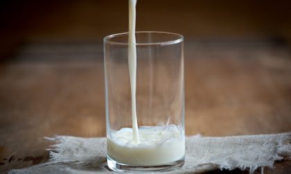 Quote latte, agricoltori cremaschi in rivolta contro le sanzioni