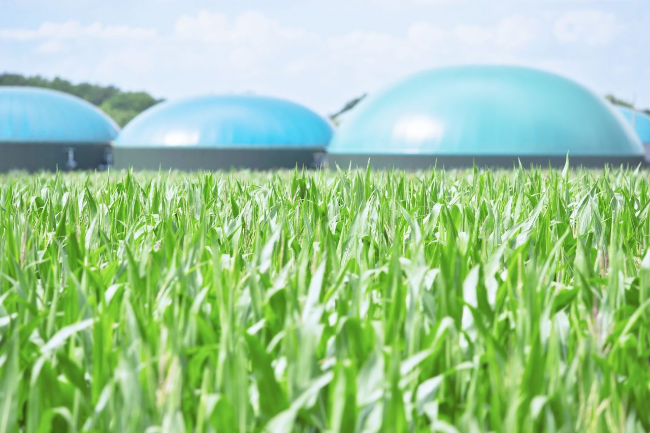 Biogas,  otto milioni da Regione Lombardia per nuovi progetti sostenibili