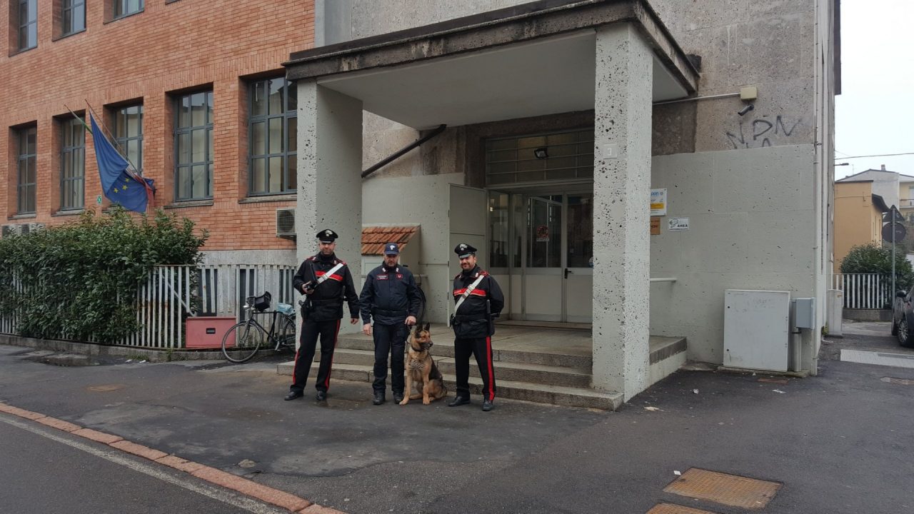 Droga al liceo unità cinofile scovano uno studente
