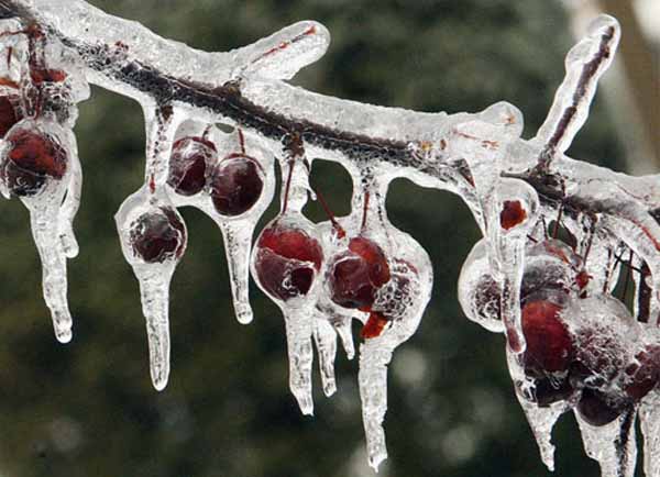 Nella zona di Livigno lo scorso gennaio raggiunti i -20 gradi (foto di repertorio)