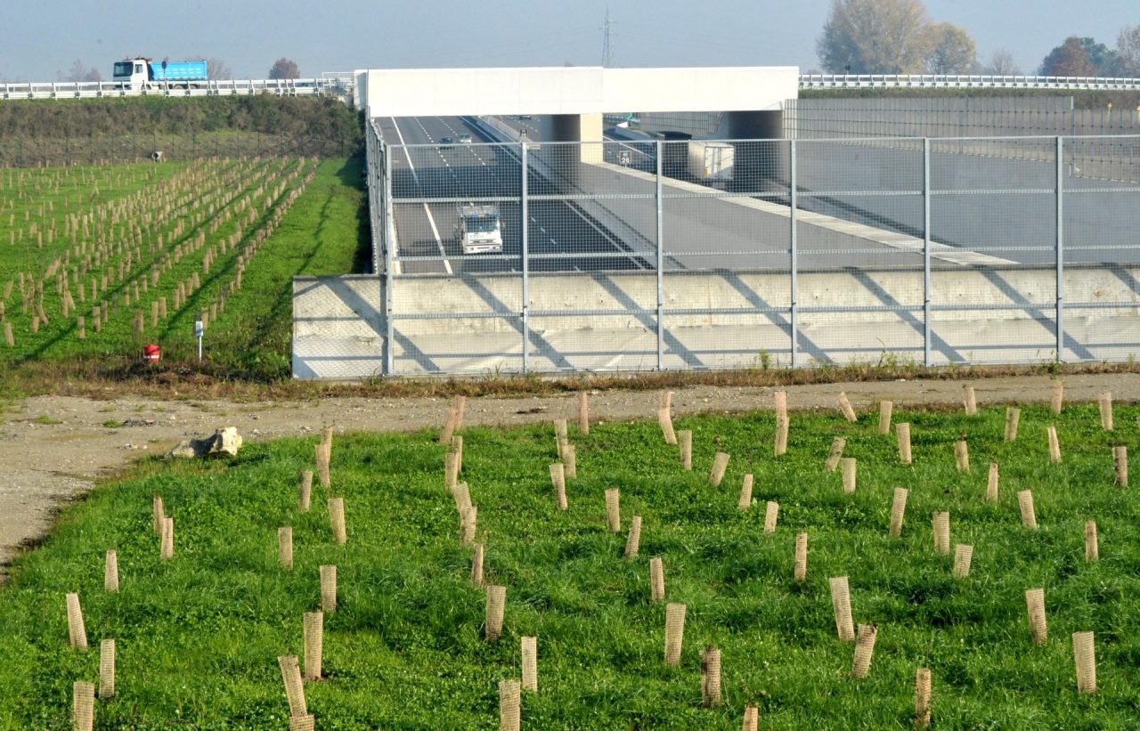 Un giardino pensile sopra la galleria autostradale