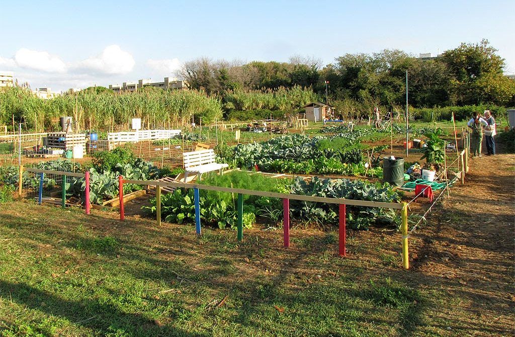 Orti urbani: Lodi fanalino di coda in Lombardia