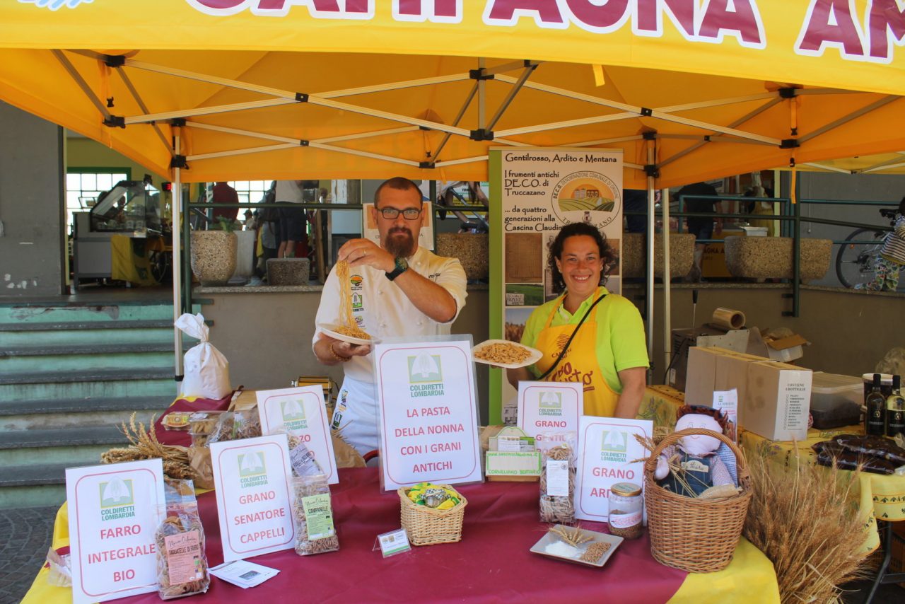 La filiera del grano antico: dal seme alla pasta fresca