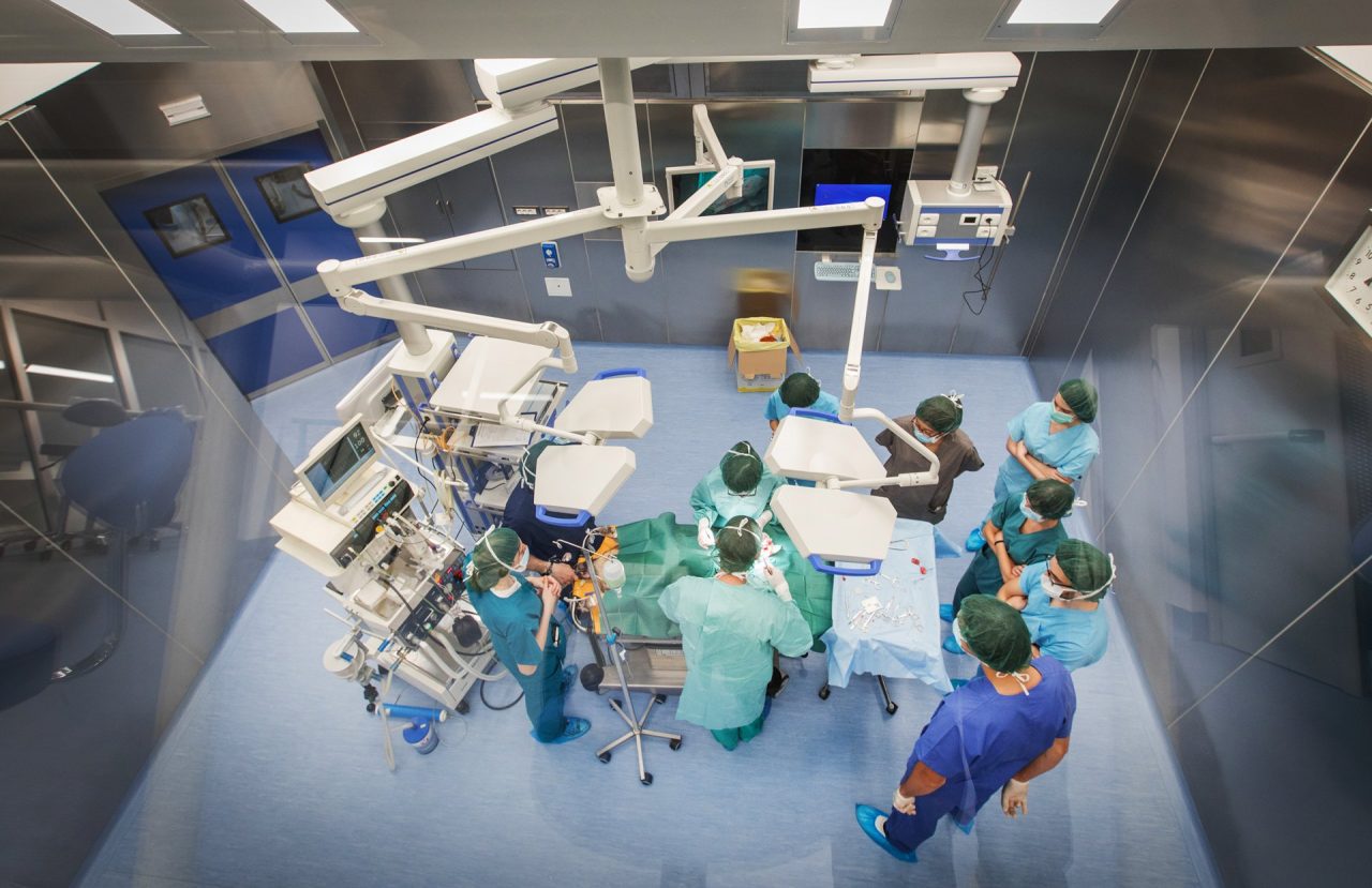 Ospedale universitario per piccoli animali inaugurato a Lodi