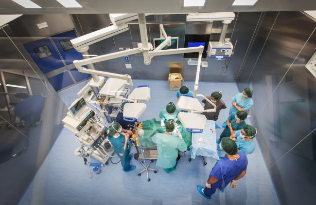 Ospedale universitario piccoli animali, ecco quando partirà