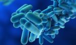 Legionella, un caso anche Saronno in provincia di Varese