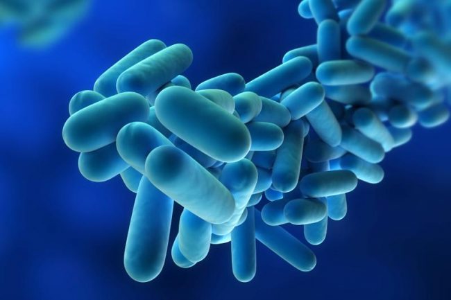 Allarme legionella: due ricoveri al San Matteo di Pavia