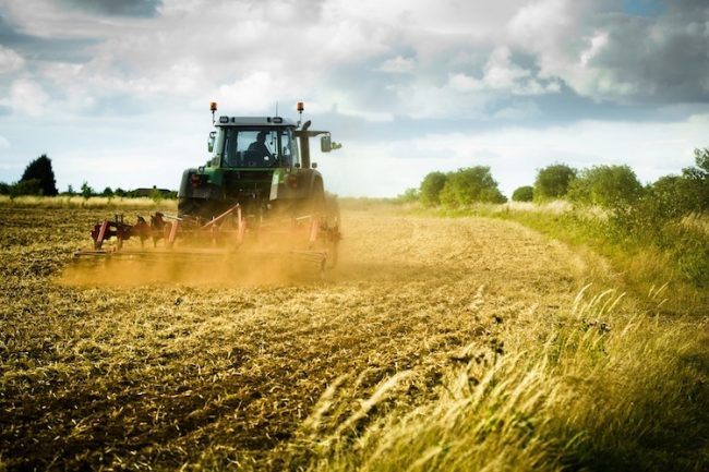 Agricoltore 57enne perde la vita nei campi tra Ospedaletto e Livraga