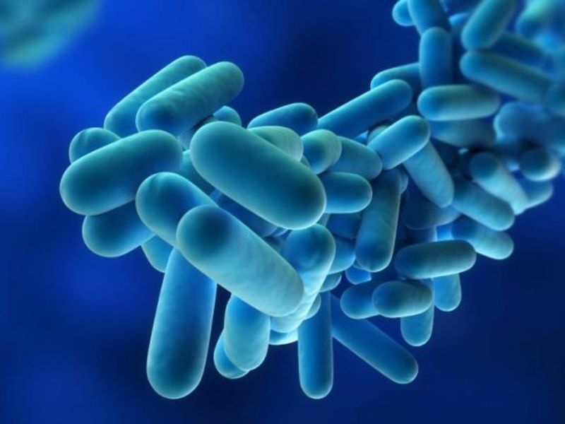 Riaprono le palestre Ghisio, Fraschini e Grignani dopo l’allarme legionella