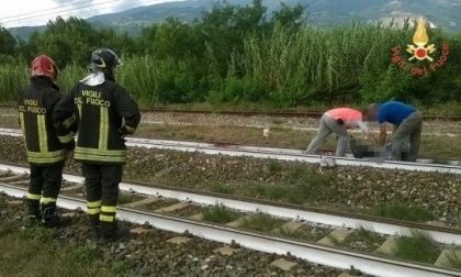 Abitavano nel Milanese i bimbi uccisi dal treno in Calabria