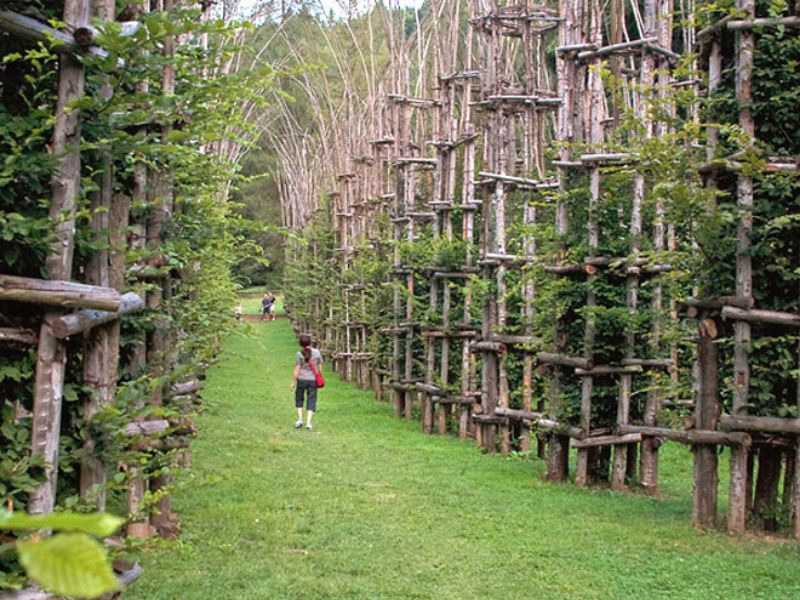 Cattedrale Vegetale, cede una colonna