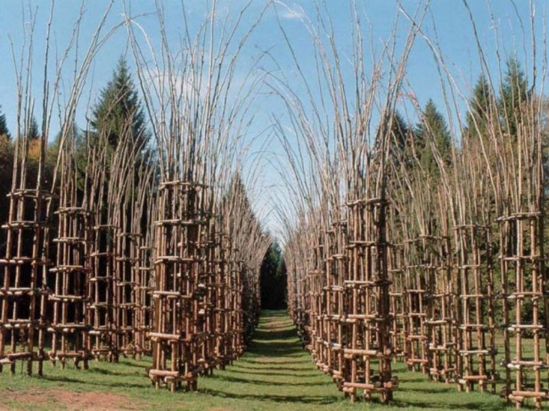 Cattedrale vegetale, raddrizzata la colonna
