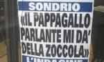 Il pappagallo dà della zoccola… e la locandina diventa virale