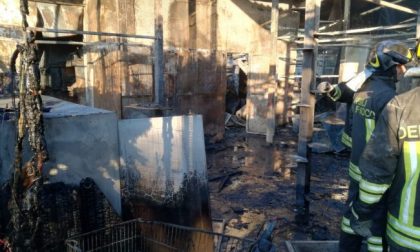 Orrore nel Milanese: incendio al gattile, strage di mici FOTO