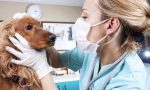 Facoltà di Medicina Veterinaria a Lodi: si parte il primo ottobre