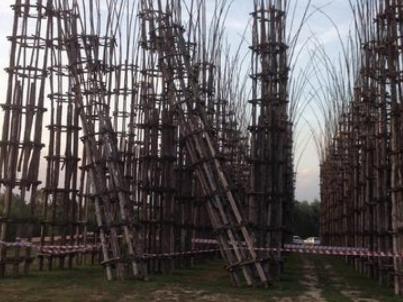 Cattedrale vegetale a rischio crollo?