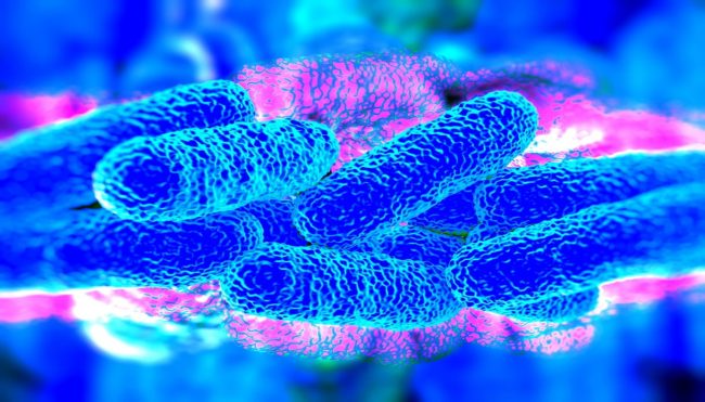Legionella ancora casi nel Lodigiano