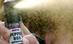 Spruzza spray al peperoncino in aula, tredici ragazzi intossicati