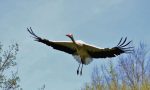 Parco Adda Sud, il Centro Visite di Castiglione tra le mete Fai