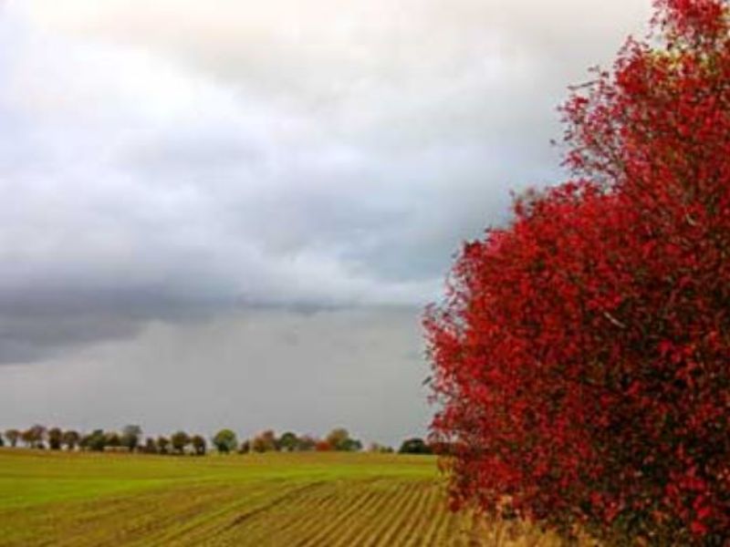 Maglietta o maglione, che settimana ci aspetta? PREVISIONI METEO