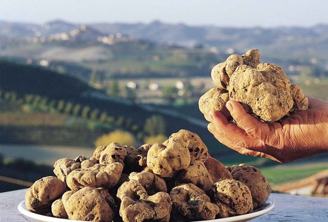 Prezzo tartufo in calo: è il momento di una gita in Piemonte
