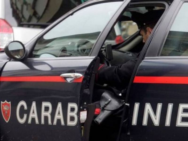 Ruba cane all’interno del Parco Cefalonia di Pizzighettone