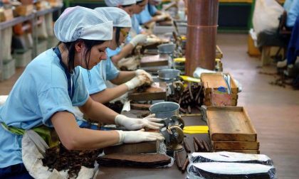 Industria manifatturiera e artigianato in crescita nel Lodigiano