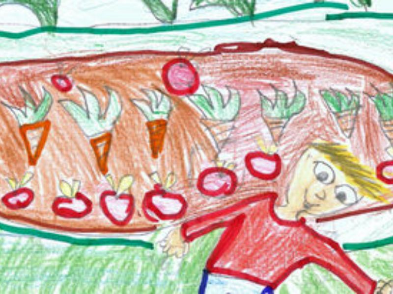 Piantumazione di alberi da frutto e ortaggi per “Sanfereorto”