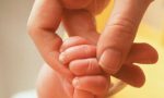 Giornata della prematurità: il Broletto si illumina di viola