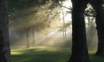 Tempo stabile nei prossimi giorni ma anche tanta nebbia PREVISIONI METEO