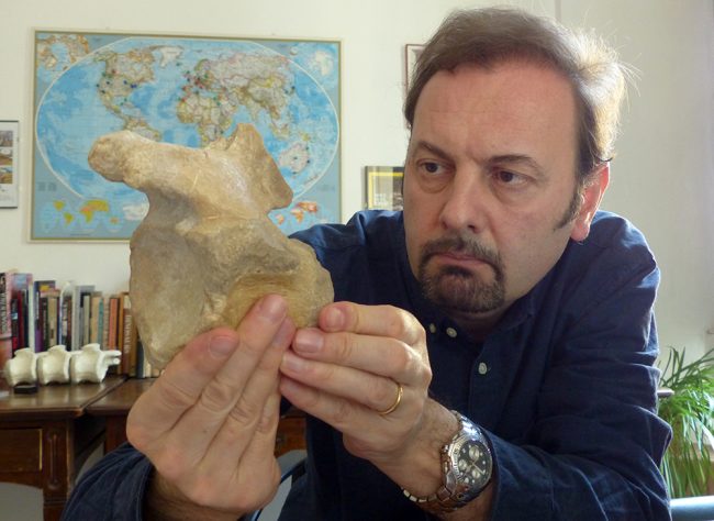 In Lombardia il più antico dinosauro carnivoro