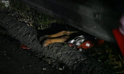 Maxi incidente sulla Teem: un uomo in fin di vita, morto un cagnolino VIDEO e FOTO