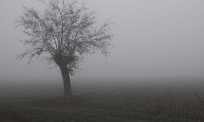 Nebbie e foschie nel primo weekend di dicembre PREVISIONI METEO