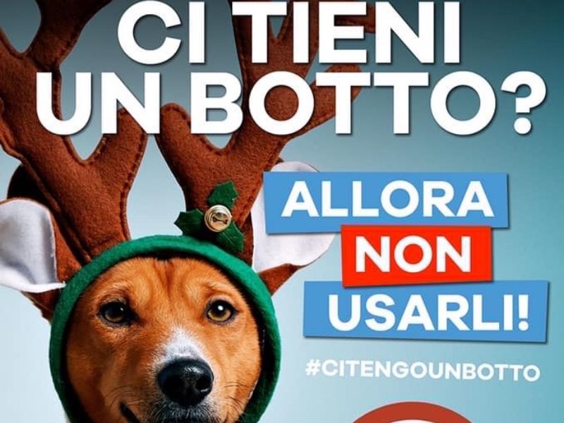 Contro i botti di fine anno la campagna animalista a Lodi