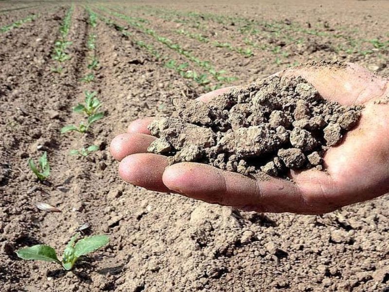 Allarme siccità al Nord, Po sotto di 3,5 metri