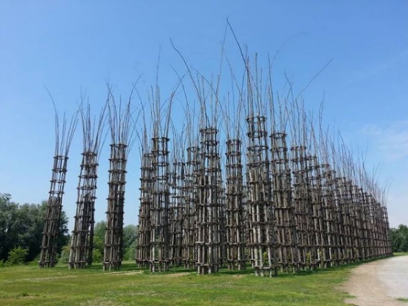 Cattedrale Vegetale, la perizia rileva criticità di progettazione e di realizzazione