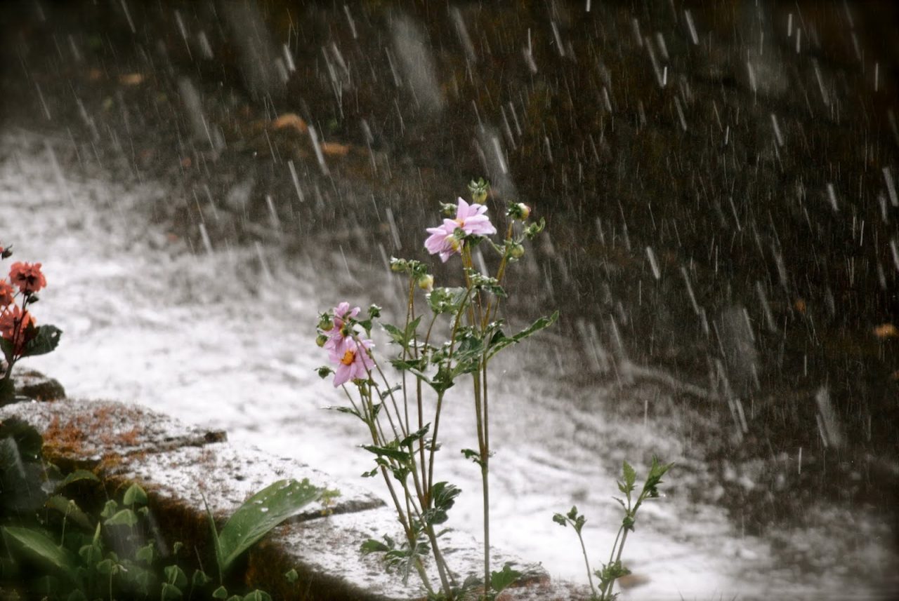 Oggi piove, domani in Lombardia arrivano freddo e vento | Previsioni Meteo