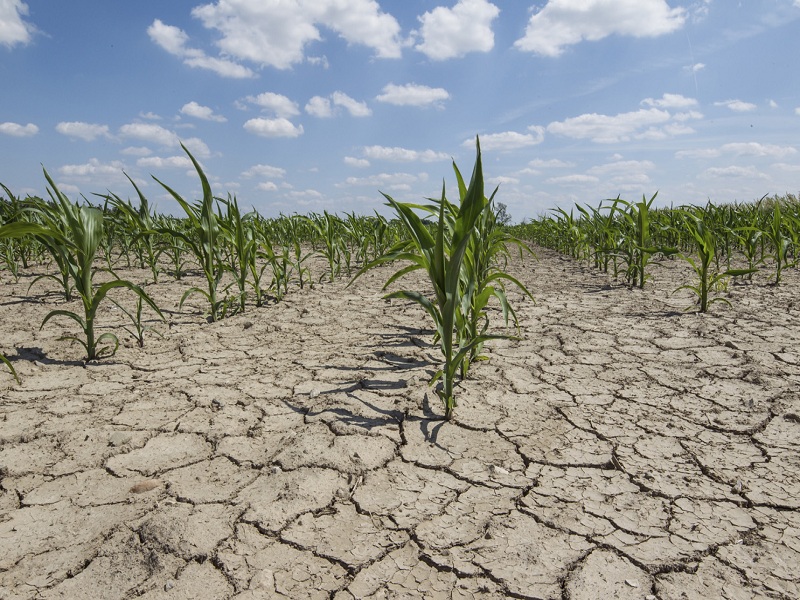 “Siamo senza acqua”: dagli agricoltori esposto in procura