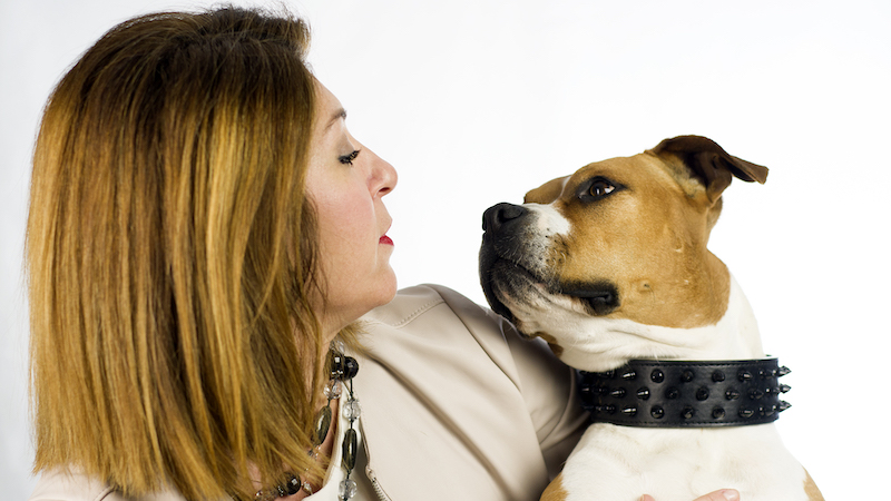 Test del DNA su Whisky: cane conteso tra due proprietari