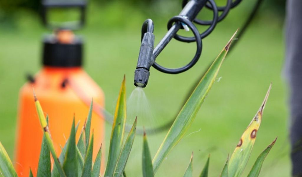 Diserbo aree pavimentate: da quest’anno erbicidi 100% naturali