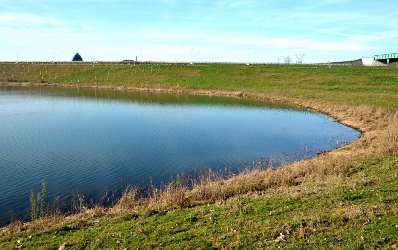 Oasi naturalistica di Vizzolo: proposta di cessione gratuita al Comune
