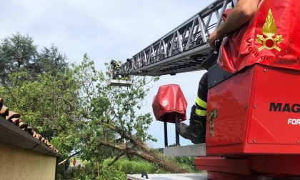 I Vigili del fuoco di Lodi tra bambini bloccati negli ascensori, Inps allagato e alberi in strada FOTO