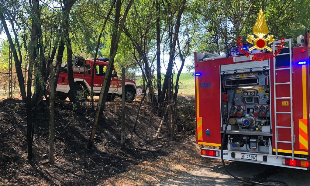 Vigneto in fiamme, spento grazie all’intervento dei Vigili del Fuoco