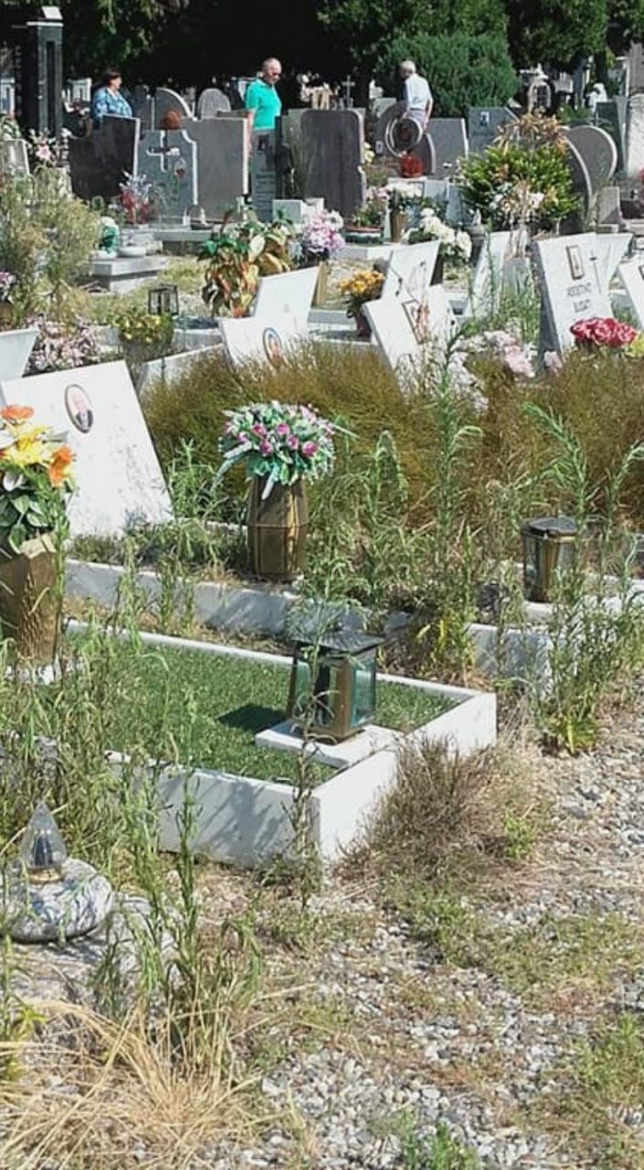 Il degrado del Cimitero Maggiore di Lodi: quando non si ha rispetto neppure dei morti