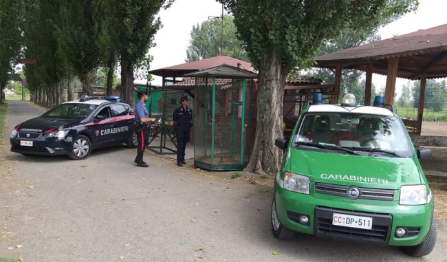 Lodigiano aggredisce il guardiano di un’azienda agricola e uccide 5 esemplari di specie protetta