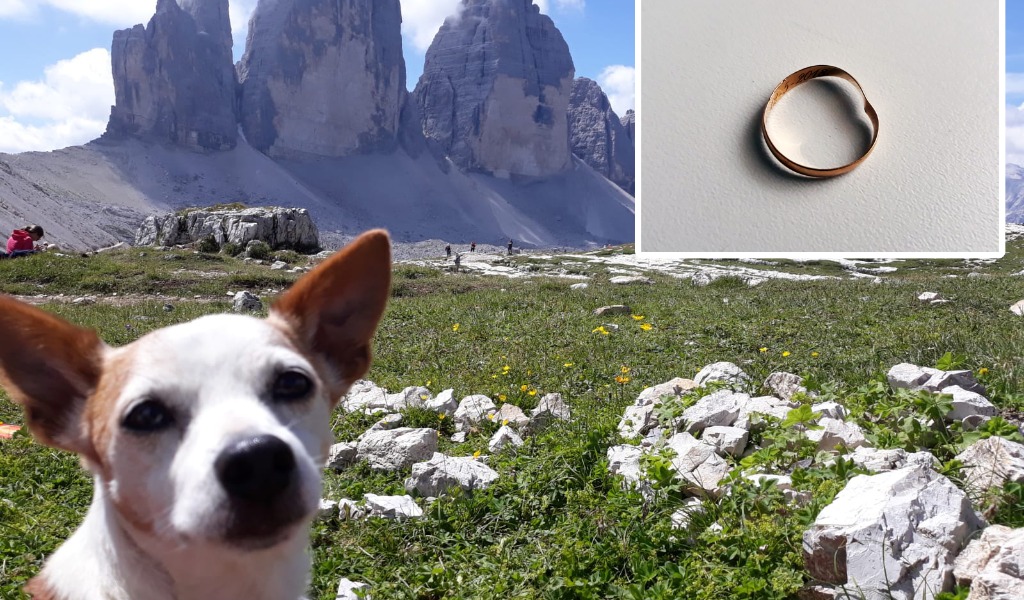 Pippo muore sbranato da un pitbull: ora Germano lavora perché non si ripeta mai più