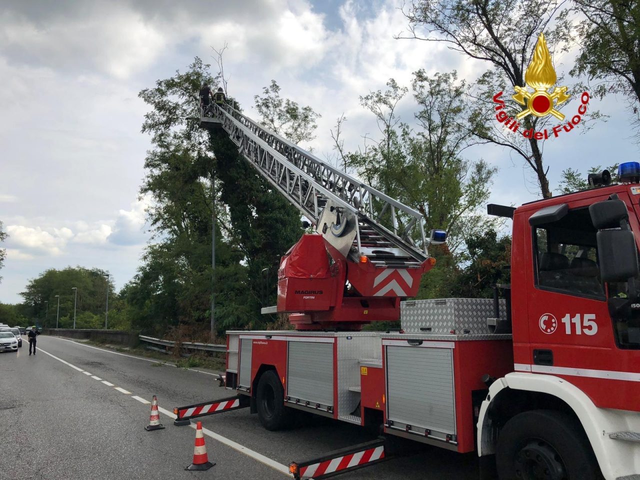 Alberi pericolanti, arrivano i Vigili del Fuoco FOTO