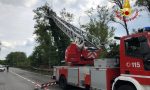 Alberi pericolanti, arrivano i Vigili del Fuoco FOTO