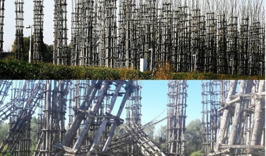 C’è ancora speranza per la Cattedrale Vegetale?